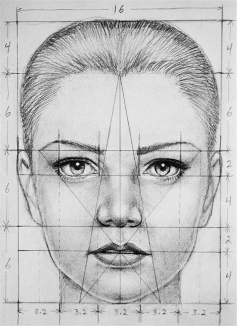face proportions by pmucks on deviantart
