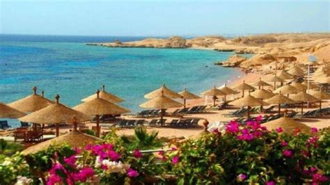 بحث عن السياحة الشاطئية فى مصر Dmakers Sa