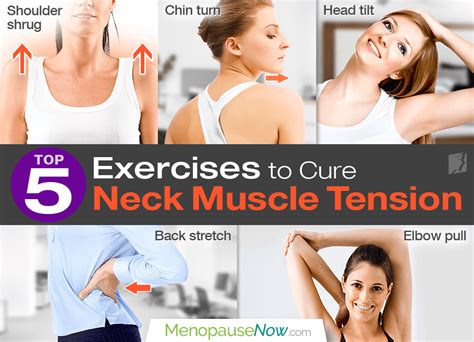 Top Exercises To Cure Neck Muscle Tension Menopause Now