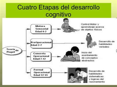 Piaget Y Las Cuatro Etapas Del Desarrollo Cognitivo Etapas Del