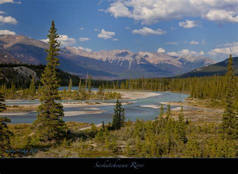The saskatchewan river is 1,939 km long from the rocky mountains headwaters to cedar lake in central manitoba. Saskatchewan River, Alberta, Canada | Flickr - Photo Sharing!