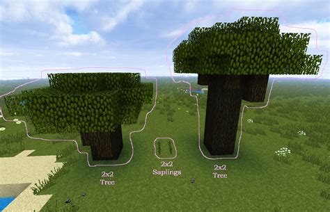 How Do You Grow Dark Oak Trees In Minecraft Or Live