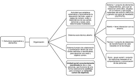 Esquema Explicativo Proceso De Organizacion Images And Photos Finder