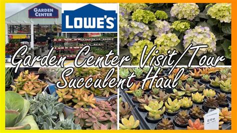 Lowes Garden Center Visittour Succulent Plant Haul Lowes Big Box