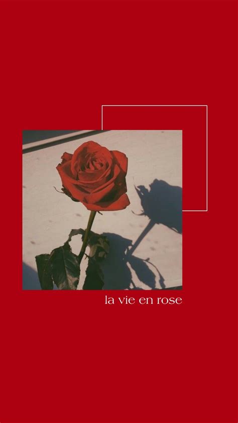 Ariana grande aesthetic wallpaper 6. Red aesthetic wallpaper in 2020 | Red roses wallpaper, Red ...
