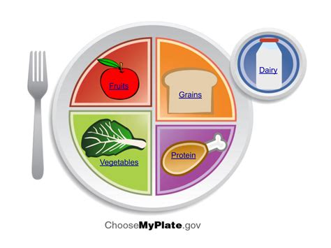 The beauty of myplate is in using a plate icon to measure the relative portion sizes of what you're what to put on your plate. MyPlate Planner - Human Nutrition DEPRECATED