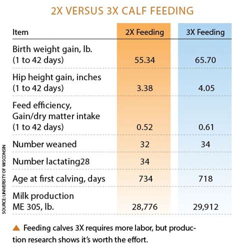 Cow Feeding Chart