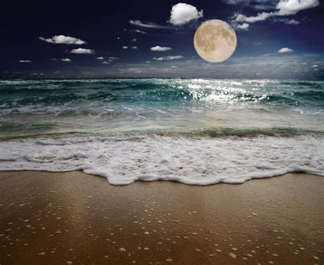 Ocean Moon Wallpapers Top Free Ocean Moon Backgrounds Wallpaperaccess