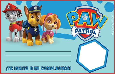 Paw Patrol ¡entra En Acción Ideas Para Fiesta De Cumpleaños La