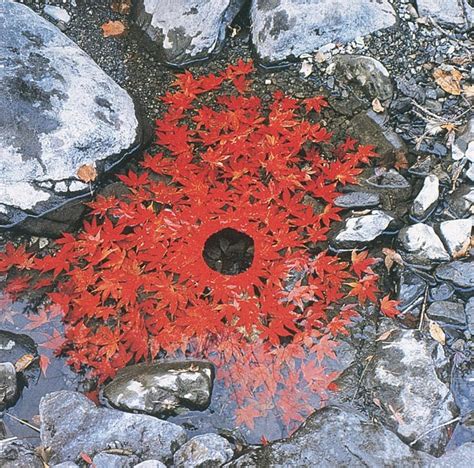 Audio And Grafik — Natural Sculptures By Andy Goldsworthy