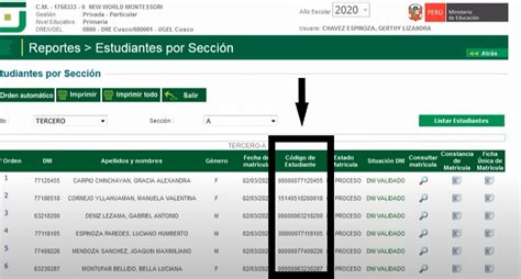 Código Del Estudiante Siagie 2023 ↓ Ver Y Actualizar ↓