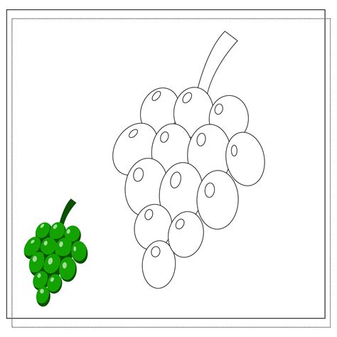 Grapes Drawing In Color
