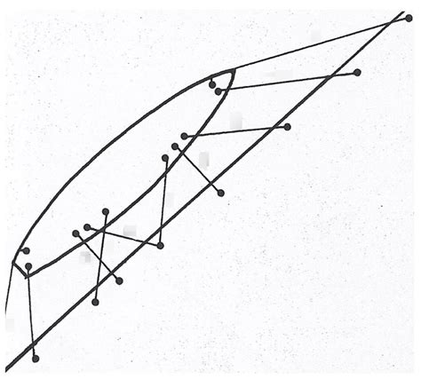Exam Two Mooring Lines Diagram Diagram Quizlet