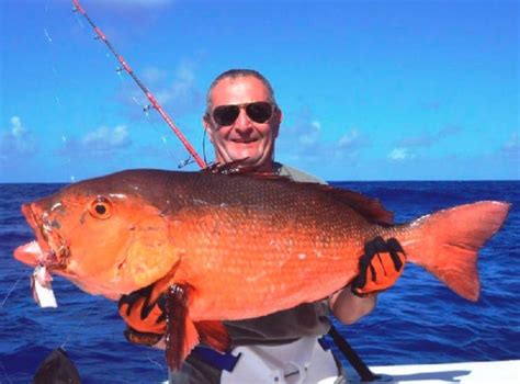 Oooh La La World Record Red Snapper Total Fishing