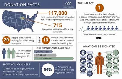 Donation Facts Why Organ Donor Transplant Tissue