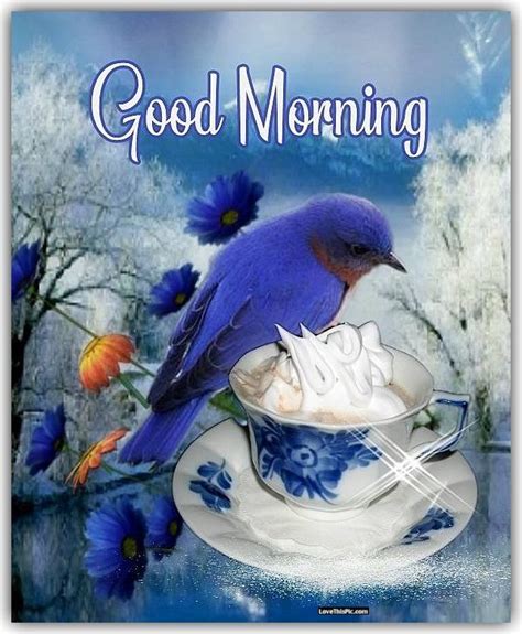 Beautiful Blue Bird Good Morning Quote Winter Coffee Bird Beautiful