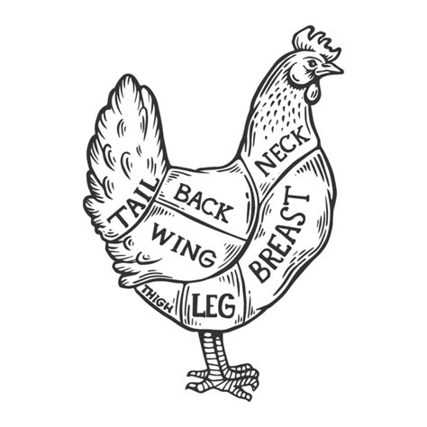 Free Chicken Eggs Vintage Hand Drawn Logo Retro Print Nohatcc