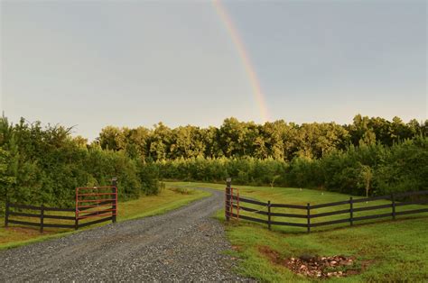 15 practical driveway ideas perfect for any budget. Split Rail Fence Ideas Driveway - 9 Long Rural Country ...