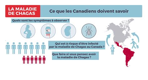 Maladie de Chagas Êtes vous à risque sans le savoir RCI Français