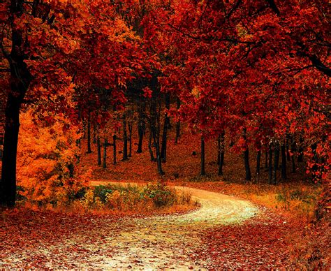 Fall Foliage Wallpapers For Desktop Wallpaper Cave Images And Photos