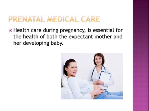 Ppt A Healthy Pregnancy Powerpoint Presentation Free Download Id