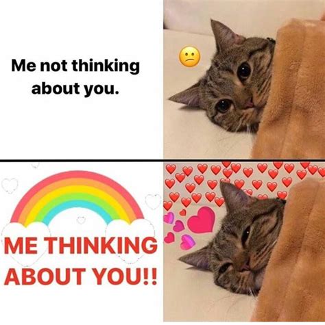 49 Cute Wholesome Memes To Share With Your Loved Ones