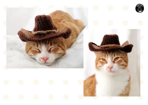 7 Cowboy Cat Costumes That Came From The Wild West Suddenly Cat Cute