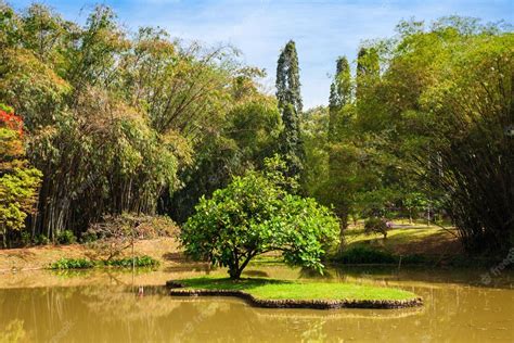 Premium Photo Peradeniya Royal Botanic Gardens Located Near Kandy