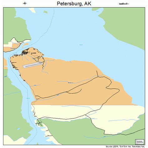 Petersburg Alaska Street Map 0260310