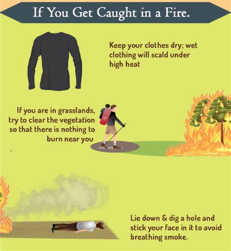Adventure How To Survive A Wildfire While Hiking Outdoors On The Go