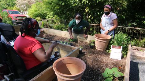 Trellis Horticultural Therapy Alliance Brings Adaptive Gardening To