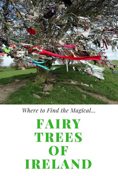 Where To Find Magical Fairy Trees In The Irish Countryside