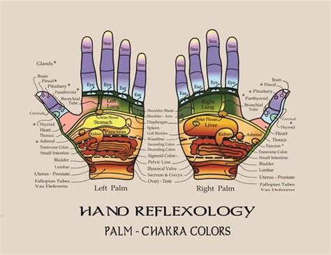Hand Reflexology Charts Are 85 X 11 Fully Laminated On Both Sides