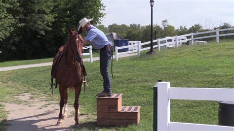 How To Teach A Horse To Stand Still At The Mounting Block Youtube