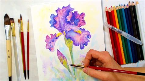 Iris Watercolor Pencil Drawing And Painting Tutorial December Smart