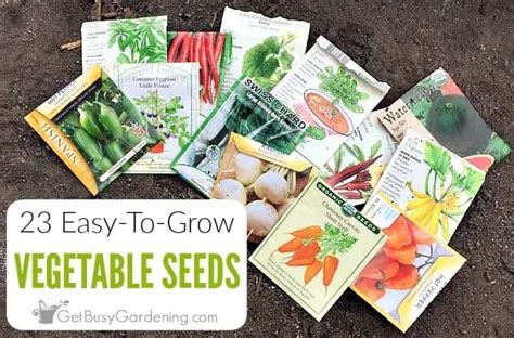 Spinach is very easy to grow indoors under lights. 23 Easiest Vegetables To Grow from Seed in 2020 | Easy ...