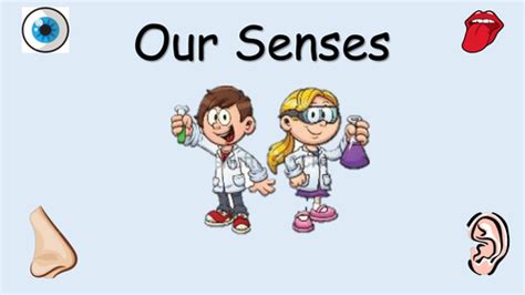 Senses Powerpoint Ks1 Teaching Resources