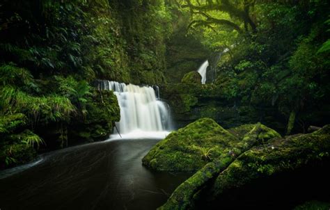 Wallpaper Greens Forest River Stones Waterfall Moss New Zealand