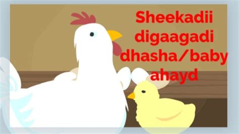 Sheekadii Digaagadii Dhasha Ahayd Somali Cartoon Somali Kids Tv Youtube