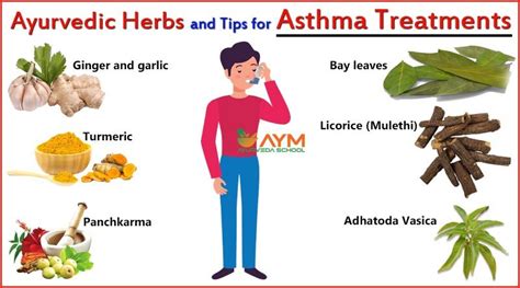 Ayurvedic Herbs And Tips For Asthma Treatments Aym Ayurveda School
