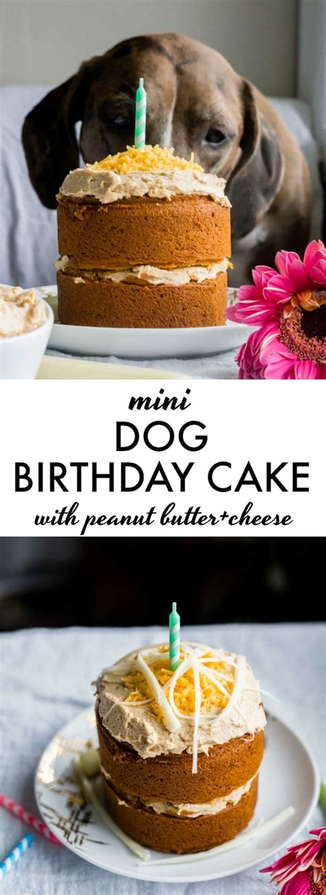 This easy cake recipe is perfect for dogs with peanut butter and applesauce and whipped cream frosting. Mini Dog Birthday Cake | The Almond Eater