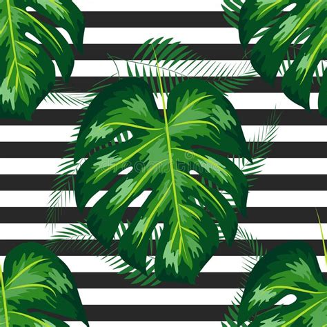 Seamless Pattern With Tropical Leaves Palms Monstera Banana Leaves