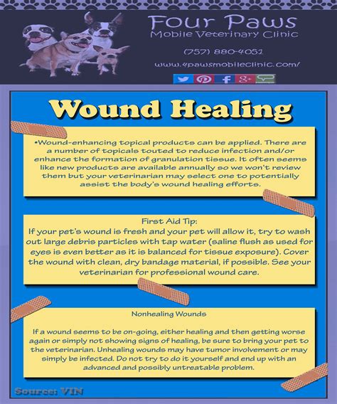 Wound Healing | Wound healing, Healing, Healing process