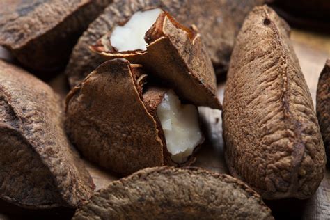 Everything You Need To Know About Brazil Nuts Ayoub S Dried Fruits And Nuts