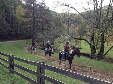 Sluggo And Dunny Picture Of Walden Creek Horseback Riding Stables