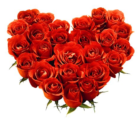 Collection Of Bouquet Of Roses Png Hd Pluspng