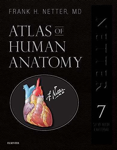 14 Best Anatomy And Physiology Books Anatomy Textbooks Bioexplorer