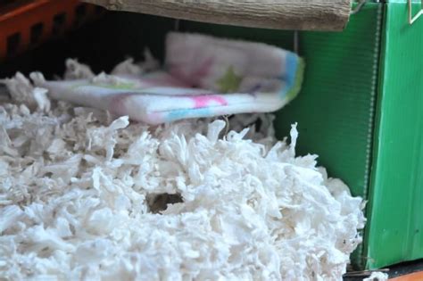 Best Bedding For Hamsters High Quality Options To Keep Your Pets Comfy