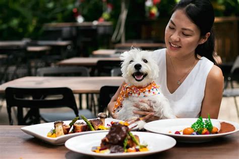 186 Dog Friendly Cafes And Restaurants In Singapore
