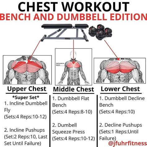 Chest Muscles Diagram Build A Big Chest The Best Ches
